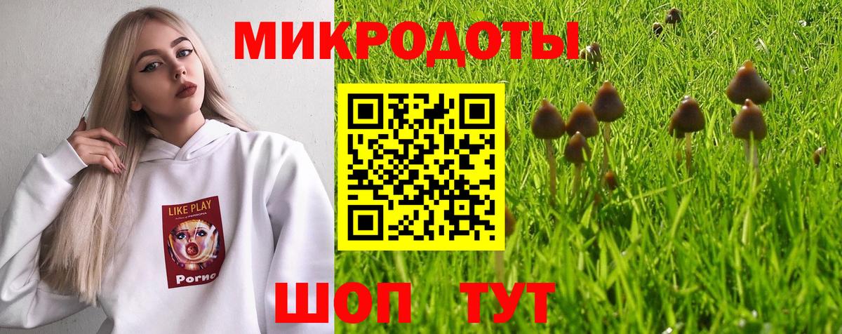 ГАШИШ Заводоуковск