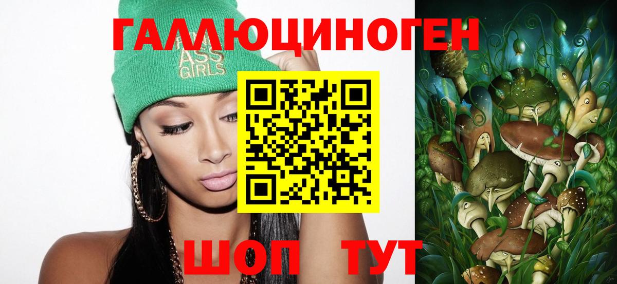 Псилоцибиновые грибы Cubensis Заводоуковск