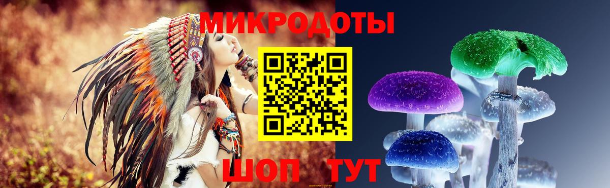 Галлюциногенные грибы MAGIC MUSHROOMS  закладка  Заводоуковск 