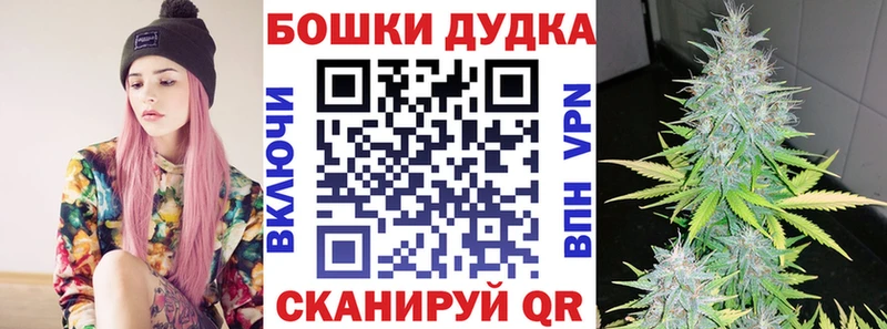 кракен как войти  Заводоуковск  Шишки марихуана Bruce Banner  как найти  